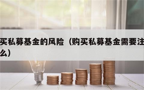 购买私募基金的风险（购买私募基金需要注意什么）