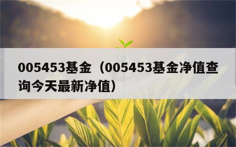 005453基金（005453基金净值查询今天最新净值）