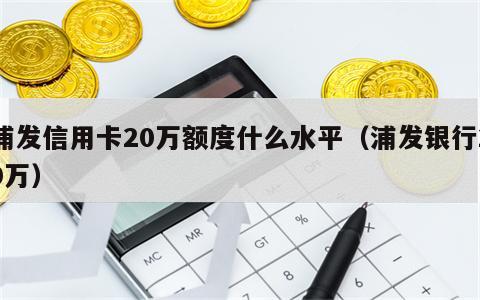 浦发信用卡20万额度什么水平（浦发银行20万）