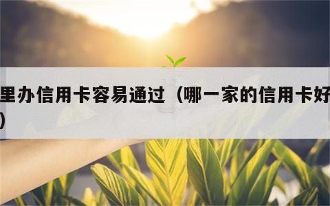 哪里办信用卡容易通过（哪一家的信用卡好通过）