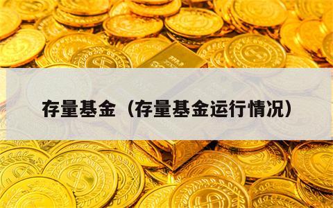 存量基金（存量基金运行情况）