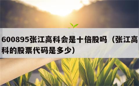 600895张江高科会是十倍股吗（张江高科的股票代码是多少）