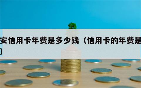 平安信用卡年费是多少钱（信用卡的年费是多少）