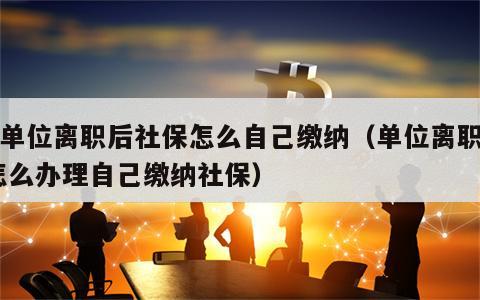 跟单位离职后社保怎么自己缴纳（单位离职了,怎么办理自己缴纳社保）