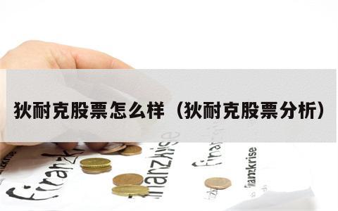 狄耐克股票怎么样（狄耐克股票分析）