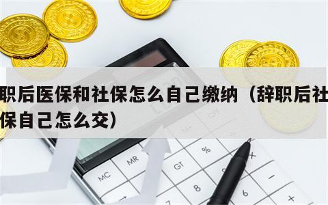 辞职后医保和社保怎么自己缴纳（辞职后社保医保自己怎么交）