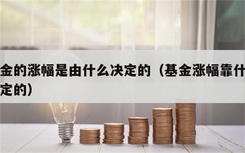 基金的涨幅是由什么决定的（基金涨幅靠什么决定的）