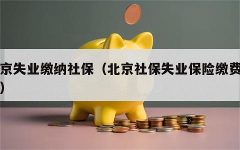 北京失业缴纳社保（北京社保失业保险缴费比例）