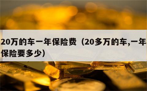 20万的车一年保险费（20多万的车,一年保险要多少）