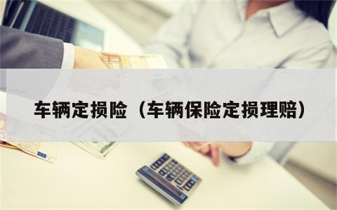 车辆定损险（车辆保险定损理赔）