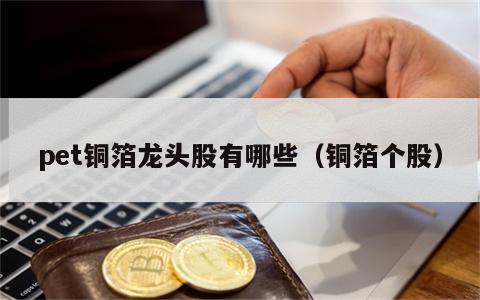 pet铜箔龙头股有哪些（铜箔个股）