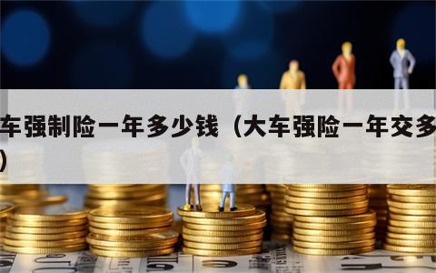 大车强制险一年多少钱（大车强险一年交多少钱）