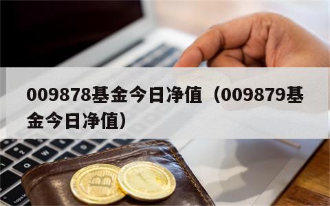 009878基金今日净值（009879基金今日净值）