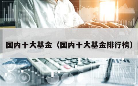 国内十大基金（国内十大基金排行榜）