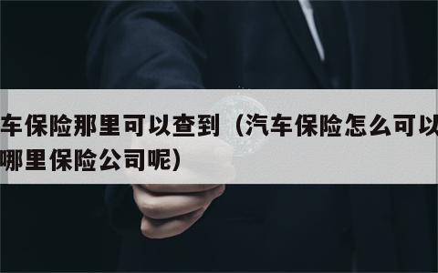 汽车保险那里可以查到（汽车保险怎么可以查到哪里保险公司呢）