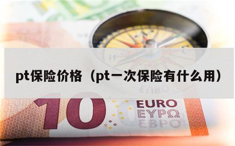 pt保险价格（pt一次保险有什么用）