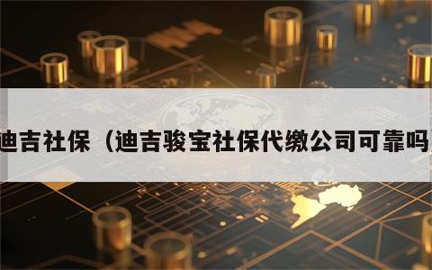 迪吉社保（迪吉骏宝社保代缴公司可靠吗）