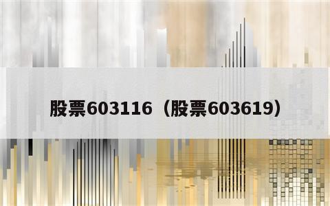 股票603116（股票603619）