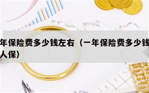 一年保险费多少钱左右（一年保险费多少钱左右人保）