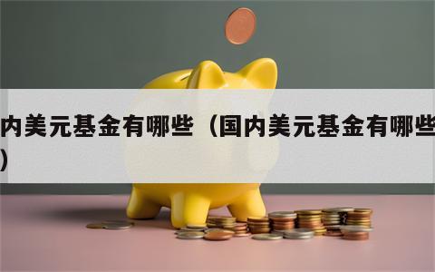 国内美元基金有哪些（国内美元基金有哪些种类）