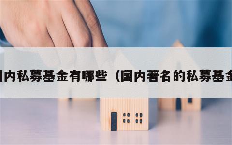 国内私募基金有哪些（国内著名的私募基金）