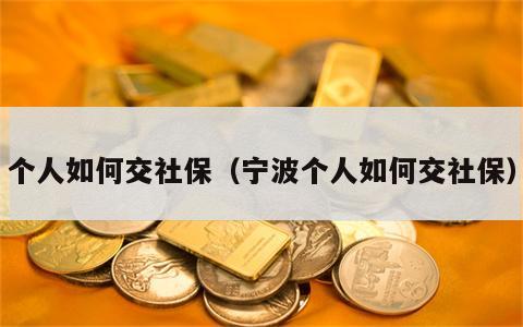 个人如何交社保（宁波个人如何交社保）