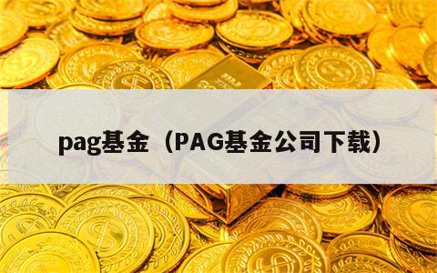 pag基金（PAG基金公司下载）