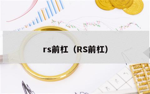 rs前杠（RS前杠）