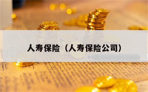 人寿保险（人寿保险公司）