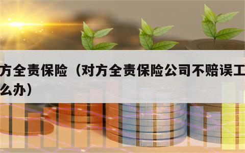 对方全责保险（对方全责保险公司不赔误工费怎么办）