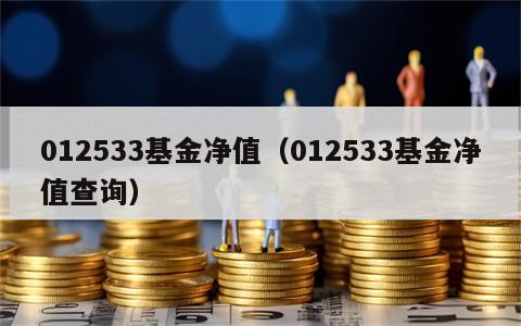 012533基金净值（012533基金净值查询）