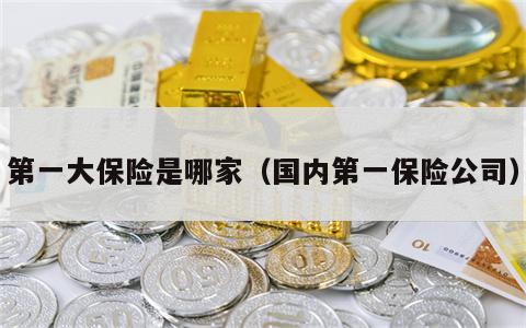 第一大保险是哪家（国内第一保险公司）
