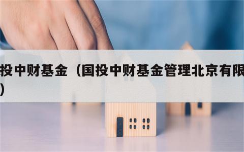 国投中财基金（国投中财基金管理北京有限公司）