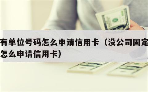 没有单位号码怎么申请信用卡（没公司固定电话怎么申请信用卡）