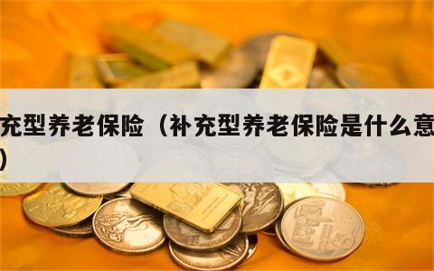 补充型养老保险（补充型养老保险是什么意思啊）