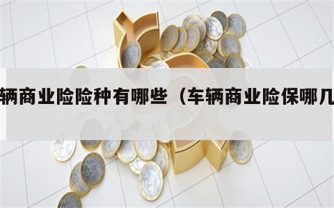 车辆商业险险种有哪些（车辆商业险保哪几种）