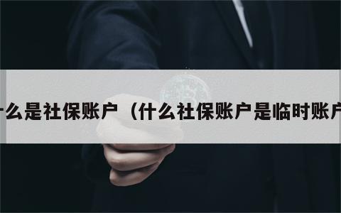 什么是社保账户（什么社保账户是临时账户）