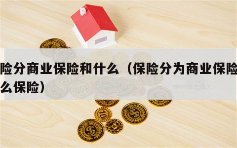 保险分商业保险和什么（保险分为商业保险和什么保险）