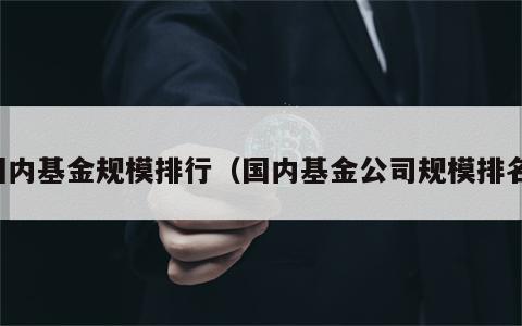 国内基金规模排行（国内基金公司规模排名）