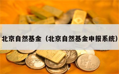 北京自然基金（北京自然基金申报系统）