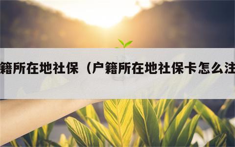 户籍所在地社保（户籍所在地社保卡怎么注销）