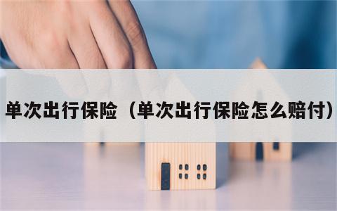 单次出行保险（单次出行保险怎么赔付）