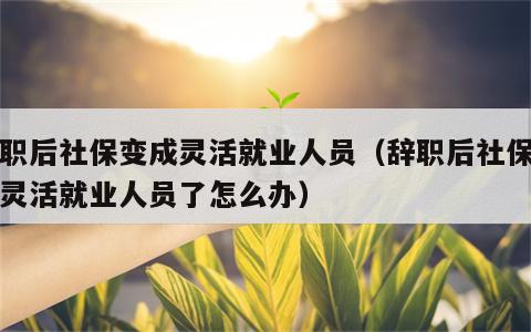 辞职后社保变成灵活就业人员（辞职后社保变成灵活就业人员了怎么办）