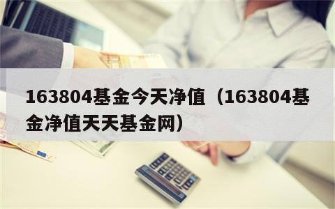 163804基金今天净值（163804基金净值天天基金网）