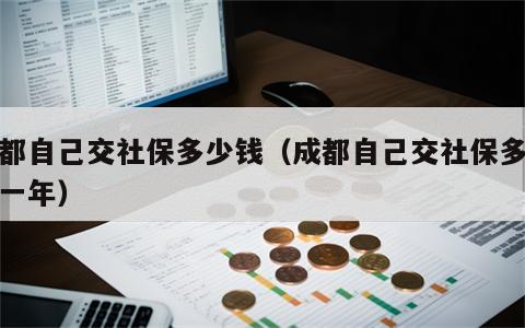 成都自己交社保多少钱（成都自己交社保多少钱一年）