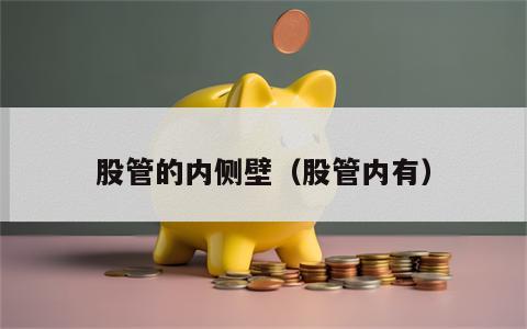 股管的内侧壁（股管内有）