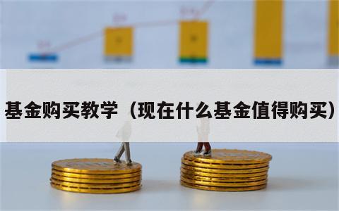 基金购买教学（现在什么基金值得购买）