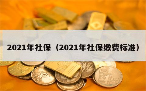 2021年社保（2021年社保缴费标准）