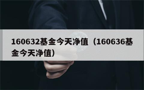 160632基金今天净值（160636基金今天净值）