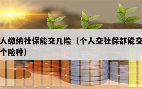 个人缴纳社保能交几险（个人交社保都能交哪几个险种）